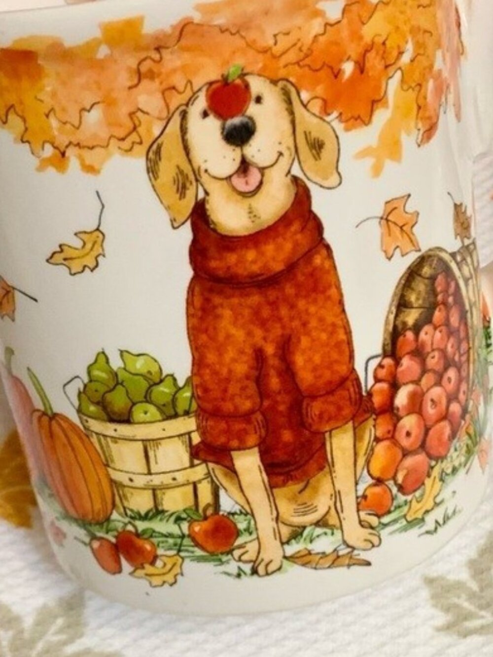 NEW Dog Sweater Golden Retriever Mug Fall Pumpkin Apples Certified International